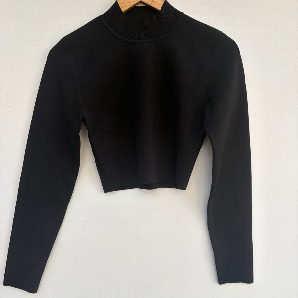 Aritzia Babaton Stretch Knit Sweater
